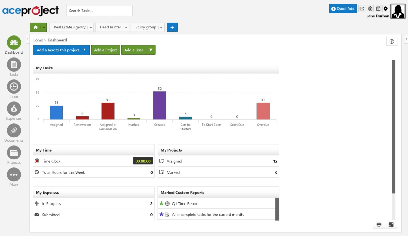 AceProject project management software