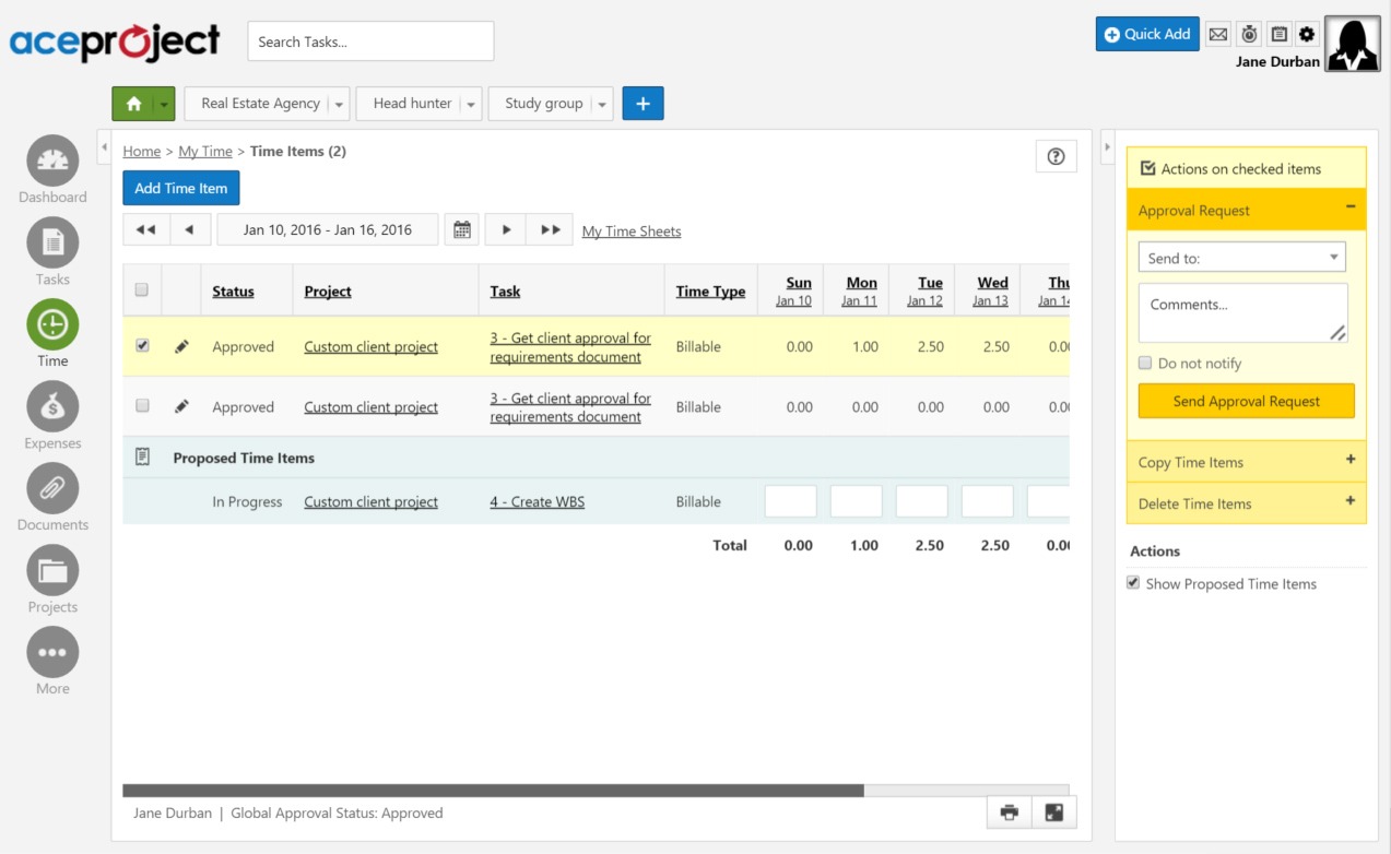 software de gestion - aceproject